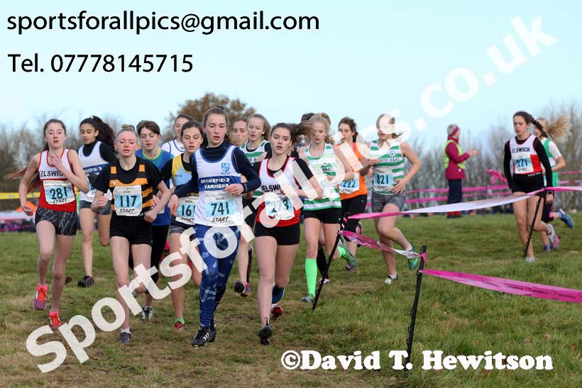 Girls under-15s 2017 Start Fitness North Eastern Harrier League, Aykley Heads, Durham. Photo:  David T. Hewitson/Sports for All Pics
